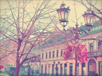 /album/like-ha-tetszik-es-jonnek-az-ujak-d/alap-99-jpg/